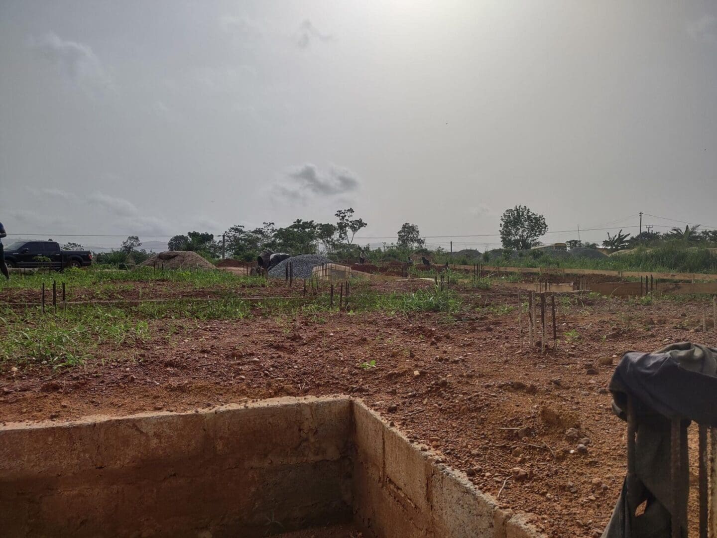 A view of some trees and dirt in the background.