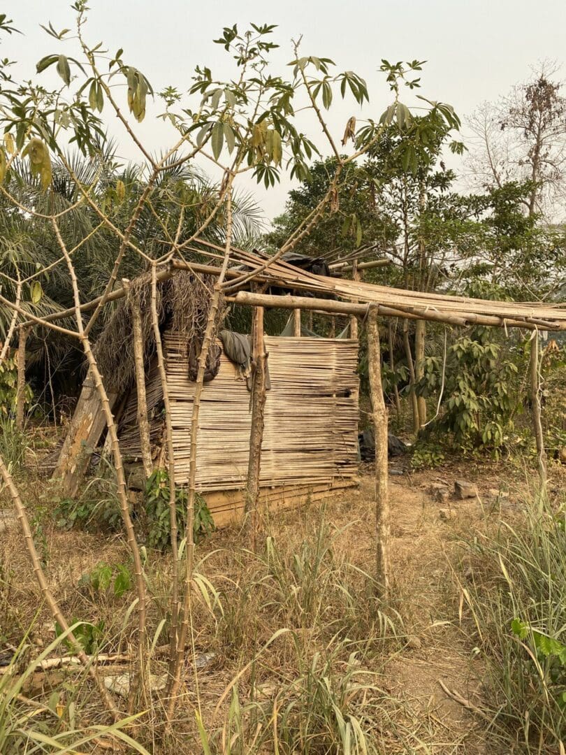 A wooden structure in the middle of a forest.