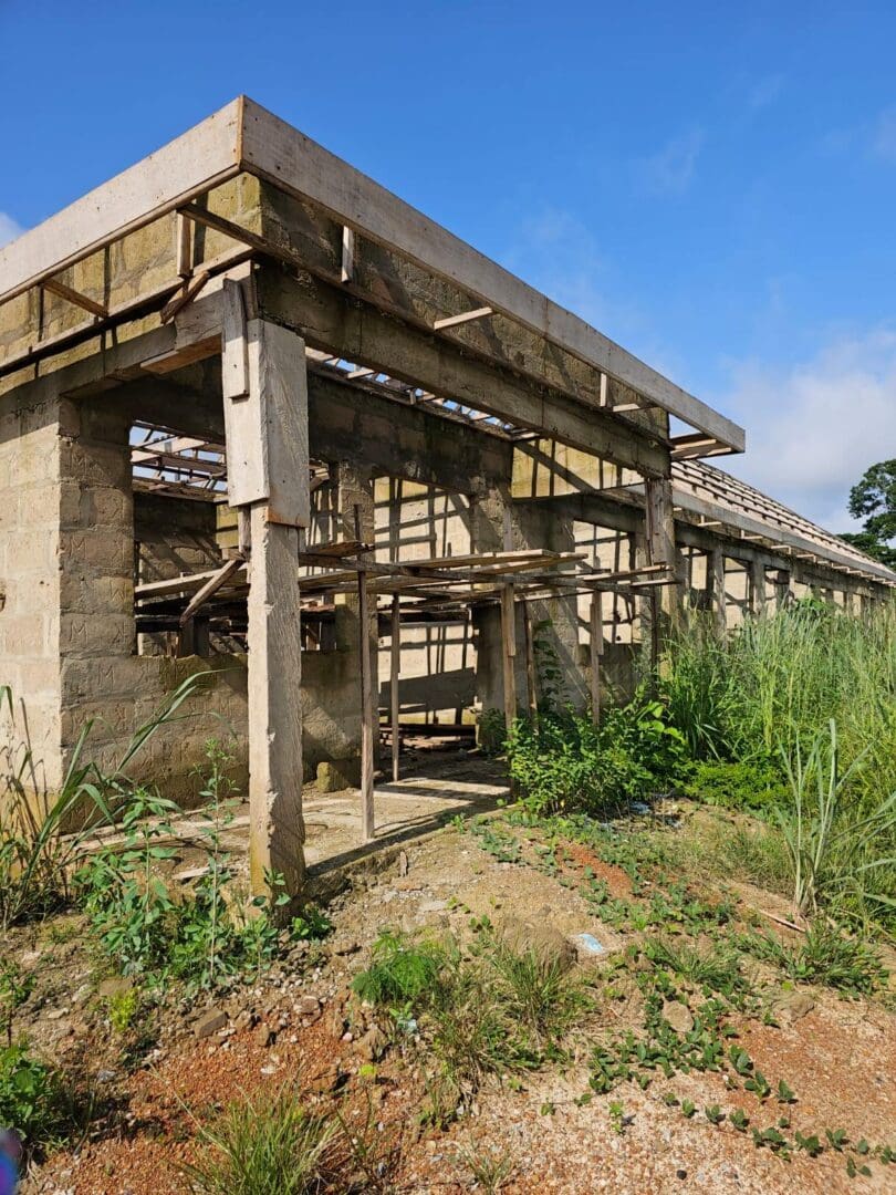 A building that is being demolished and destroyed.